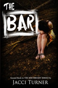 The Bar by Jacci Turner